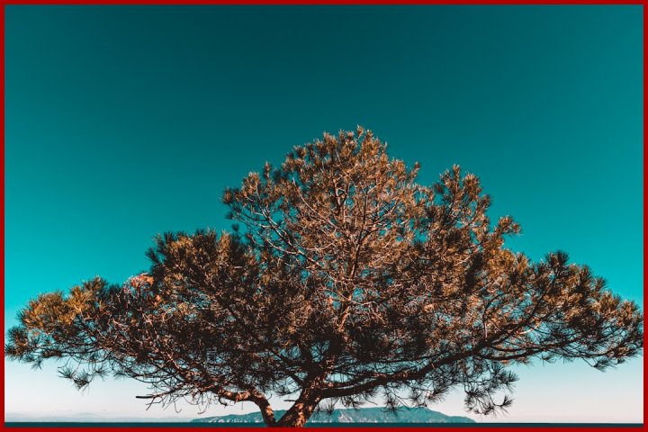 آموزش decision tree با scikit-learn — تصویر 2
